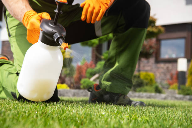 Best Wasp Removal Services  in Craig, CO