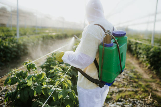Best Pest Inspection Near Me  in Craig, CO